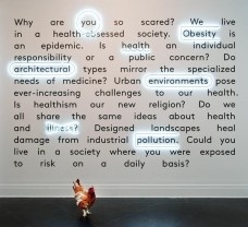 Installation view with Chicken by Andy Byers, Canadian Centre for Architecture. 2011. Photo © CCA