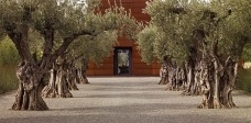 Finalist Landscape Design: Andrea Cochran Landscape Architecture: Stone Edge Farm, Sonoma, CA, 2007<br />Photo Marion Brenner 