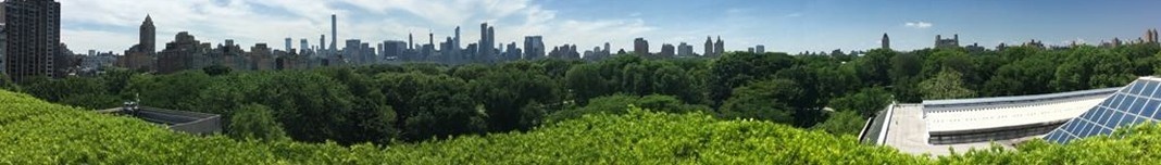 Vista panorâmica de Nova York a partir do The Metropolitan Museum of Art - MET. Foto Michel Gorski
