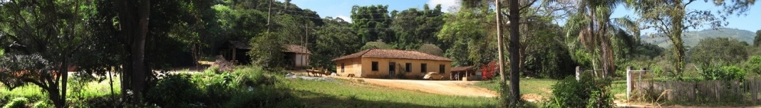 Engenho Beija-flor na Serra do Itapeti. Foto Victor Hugo Mori