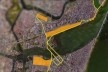 Projeto urbano, com vias expressas e áreas de expansão imobiliária<br />Foto divulgação  [vídeo “Recife, cidade roubada”]