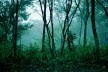 <br />Foto Boris Kossoy 