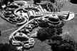 Escola de Artes Plásticas. Instituto Superior de Arte. 1965 Arq. Ricardo Porro<br />Foto Roberto Segre 
