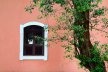 <br />Foto Luiza Cavalcante 