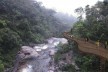 Parque Nacional de Itatiaia, maquete eletrônica do Complexo Maromba (canopy parte baixa / estrutura metálica), Rio de Janeiro Brasil / Minas Gerais Brasil, 2017. Arquitetos Pedro Paes Lira, Manoela Machado, Camila Sanches, Giulia Corsi / Natureza Urbana<br />Imagem divulgação  [Acervo Natureza Urbana]