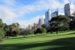 Royal Botanic Garden, Sidney<br />Foto Gabriela Celani 