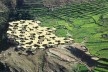 Koji Tsutsui, centro de crianças órfãs. Rakai, Uganda<br />Foto divulgação 