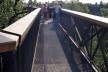 Kew Gardens, Xstrata Walkway Treetop, Londres<br />Foto Francine Sakata 