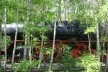 Südgelände Natur-Park, Berlim, Alemanha. Arquiteto Peter Latz<br />Foto Paloma P. de Siqueira, 08/05/11 