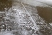 Avenida Brasil no final da década de 40: Maringá Velho em primeiro plano [ACIM, 2006]