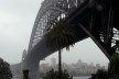 Ponte na Baía de Sidney<br />Foto Gabriela Celani 