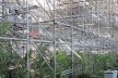 Vista interna Pavilhão Humanidade 2012, Rio+ 20<br />divulgação 