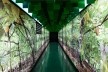 Núcleo floresta<br />Foto Leonardo Finotti 