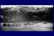 Momento anterior ao início da final da Copa do Mundo de 1958, Suécia versus Brasil<br />Encarte da CBF  [Acervo Naydina Aranha de Freitas]