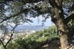 Vistas das zonas Sul e Norte a partir das ruas Aprazível e Almirante Alexandrino<br />Foto Luiz Felipe da Cunha e Silva 