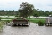 Margem do Rio Amazonas<br />Foto Eduardo Oliveira Soares, julho 2019 