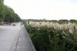 Parque Ecológico Costanera Sur, Buenos Aires<br />Foto Cecilia Herzog 