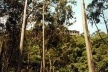 Vista do edifício na paisagem<br />Imagem do autor do projeto 