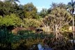 Jardins da Fazenda Vargem Grande. Paisagistas Roberto Burle Marx, Haruyoshi Ono e José Tabacow<br />Foto Guilherme Mazza Dourado, 2016 