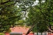 Readequação do Parque Municipal Raul Seixas, São Paulo SP Brasil, 2019. Secretaria do Verde e Meio Ambiente – Departamento de Implantação, Projetos e Obras/ Secretaria Municipal da Pessoa com Deficiência<br />Foto Leon Rodrigues  [Secom]
