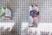 Residência KS, Natal RN, 2016. Arquitetos Alexandre Brasil, Paula Zasnicoff e Raquel Araújo<br />Foto Joana França 