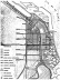 Plan Regional Metropolitano para el año 2000, de 1969 [Corporación Puerto Madero]