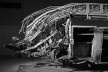 Davis Brody Bond Architects and Planners, The 9/11 Memorial Museum, New York<br />Photography by Andrew Moore 
