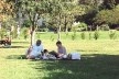 Familia na Grama, Parque do Flamengo, Rio de Janeiro: som do vento.<br />Foto P A Rheingantz 