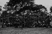 Exposição “Nu Xingu”<br />Foto Valdir Zwetsch 