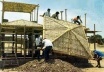 Casas de bambú en Piura, al norte de Perú. Arq. Eliseo Guzmán