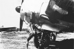 José Medeiros, "Expedição Roncador Xingú", fotografia, 1949 [Acervo Zenaide Medeiros e José Medeiros Filho]