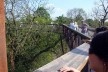 Kew Gardens, Xstrata Walkway Treetop, Londres<br />Foto Francine Sakata 