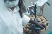 Vendedor, Bangaloore, Índia<br />Foto Fabricio Fernandes 