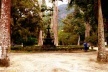 Fig. 7: Chafariz das musas 2007<br />Foto Ana Rosa de Oliveira 