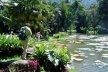 Fig. 11: Vista do Lago Frei Leandro no Jardim Botânico<br />Foto Ana Rosa de Oliveira 