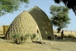 Figura 16 – Camerún. Viviendas cápsulares [www.biologie.unihamburg.de]