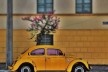 Fusca amarelo queimado, série fotográfica “Os fuscas ofuscam”<br />Foto Fernando Mascaro 