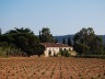 Ramatuelle<br />Foto Marcio Cotrim 