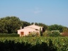 Ramatuelle<br />Foto Marcio Cotrim 