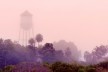 “Fordlandia”, vídeo-instalação de Melanie Smith, 2014<br />Foto Julien Devaux  [Exposição “Utopia/Dystopia”, MAAT – Museum of Art, Architecture and Technology, Lisboa, 20]
