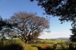 Ensaio “Paraíso escondido”<br />Foto Abilio Guerra 