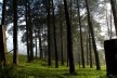 Estrada da Laranja Azeda, Atibaia SP<br />Foto Adriano de Carvalho Capeto 