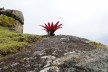 Macchu Picchu, Peru<br />Foto Juan Guerra 