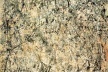“Number One”, 1948, obra em “action painting” do pintor Jackson Pollock [http://www.terraingallery.org]