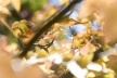 Mostra "Ao vento"<br />Foto Adriana Rosset 
