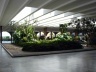 O jardim e a varanda são iluminados por uma pérgola entre as vigas do sistema estrutural da laje de cobertura. As vigas da laje de cobertura ficam parcialmente rebaixadas, criando uma textura com contrastes de claro/escuro sobre todo o pavimento<br />Foto Eduardo Rossetti, 2008 