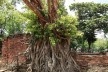 Templo de Wat Mahathat, Birmânia<br />Foto Victor Hugo Mori 