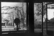 Vidraça de Los Guindos e jardim<br />Foto Rodrigo Díaz Wichmann 