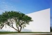Teatro, Parque do Ibirapuera, São Paulo. Arquiteto Oscar Niemeyer<br />Foto Nelson Kon 