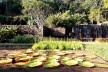 Jardins da Fazenda Vargem Grande. Paisagistas Roberto Burle Marx, Haruyoshi Ono e José Tabacow
<br />Foto Guilherme Mazza Dourado, 2016 
